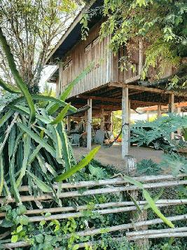 ขายด่วน! (บ้าน 2 ชั้น/ใต้ถุนโล่ง) พร้อมที่ดิน ติดถนนดำ อำเภอลาดยาว นครสวรรค์ โทร 092-6869618